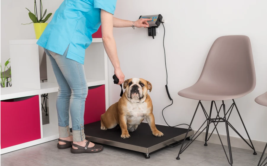 Médecine générale